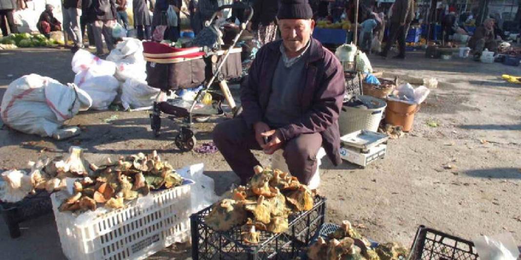 Yağmurun bereketi resmen fışkırdı! Ormanlar doldu, tezgahlar süslendi: 400’den 100 TL’ye düşen fiyat güldürdü 4